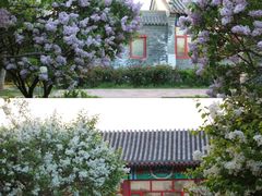 -河北省园博园