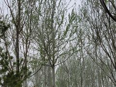 -张家湾公园