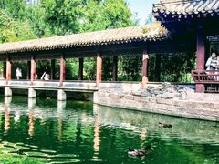 -团结湖公园