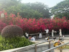 -顺峰山公园