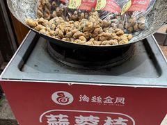 -海丝金凤(金鱼店)