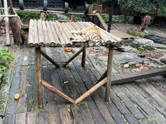 -广州长隆野生动物世界