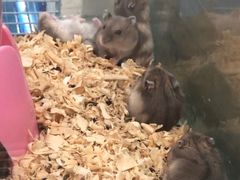 -乐宠宠物店(世纪金源店)