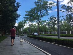 -栖露营camping·天幕烧烤·团建拓展·采摘营地