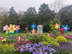 -上海共青森林公园