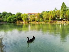 -苏州金鸡湖大酒店