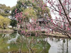 -无锡梅园公园