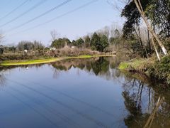 -桤木河湿地公园