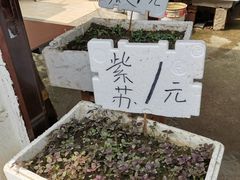 -葑门横街