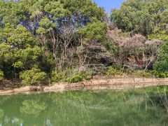 -白马涧龙池景区