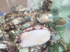 -四海鲜渔家菜(黄金海岸店)