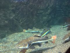 -太平洋海底世界