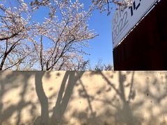 -龙美术馆(西岸馆)