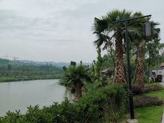 -枫香湖儿童公园