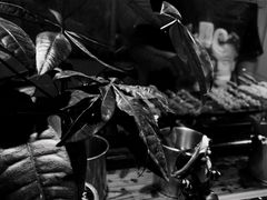 -烧鸟周居酒屋(香山店)