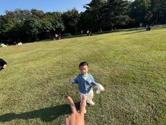 -青枫公园