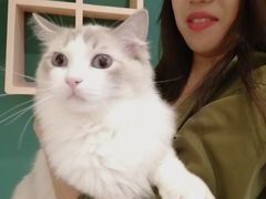 -飞行喵MR PILOT|猫舍·猫咖(静安大融城店)