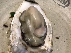 -千岛蚝高压锅生蚝·人参火锅(白云万达店)