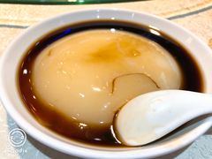 -新概念来凤鱼(璧山店)