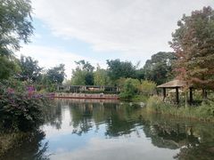 -成飞公园