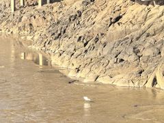 -平湖九龙山旅游度假区