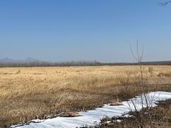 -野鸭湖国家湿地公园