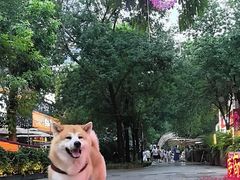 -中粮·祥云小镇