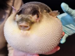 -永安鱼庄·镇江菜(东吴路店)