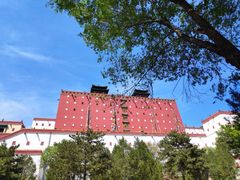 -清真喜兰老丁羊汤特色小吃