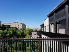 -上海崇明金茂凯悦酒店