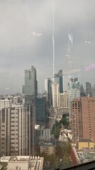 -丽尔美睫