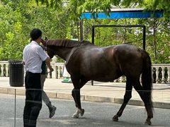 -J Create城市露营咖啡·简餐·宠物(上海动物园店)