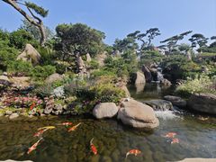 -罗红摄影艺术馆