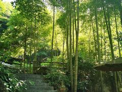 -山沟沟景区