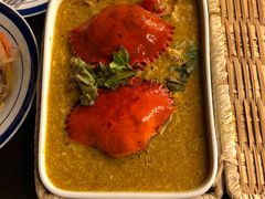 -茉莉.Red Crab