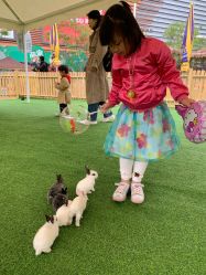 -萌宠亲子动物乐园(槐房万达店)