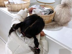 -怪兽屋·羊驼·猫咖·狗咖(俊华广场店)