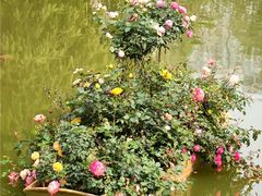 -人民公园(罗湖区)