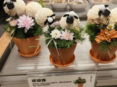 -鹿岛生活(熙地港店)