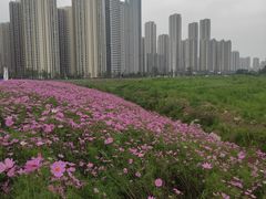 -汉江湾体育公园
