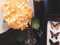 -black rainbow coffee