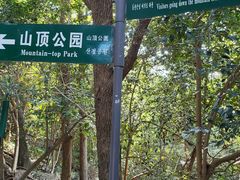 -紫金山山顶公园