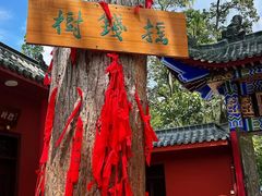 -黔灵山公园