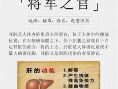 -莱仪堂艾灸经络养生馆(九亭一店)