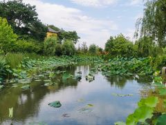 -东台西溪天仙缘景区