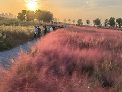 -汉长安城未央宫国家考古遗址公园