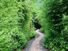-长广溪湿地公园