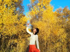 -金塔沙漠胡杨林景区