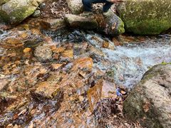 -五女峰国家森林公园