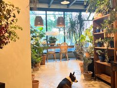 -自由生长植物工作室(深港花卉中心店)
